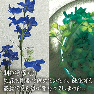 Emotion in Resin: エスキース その1